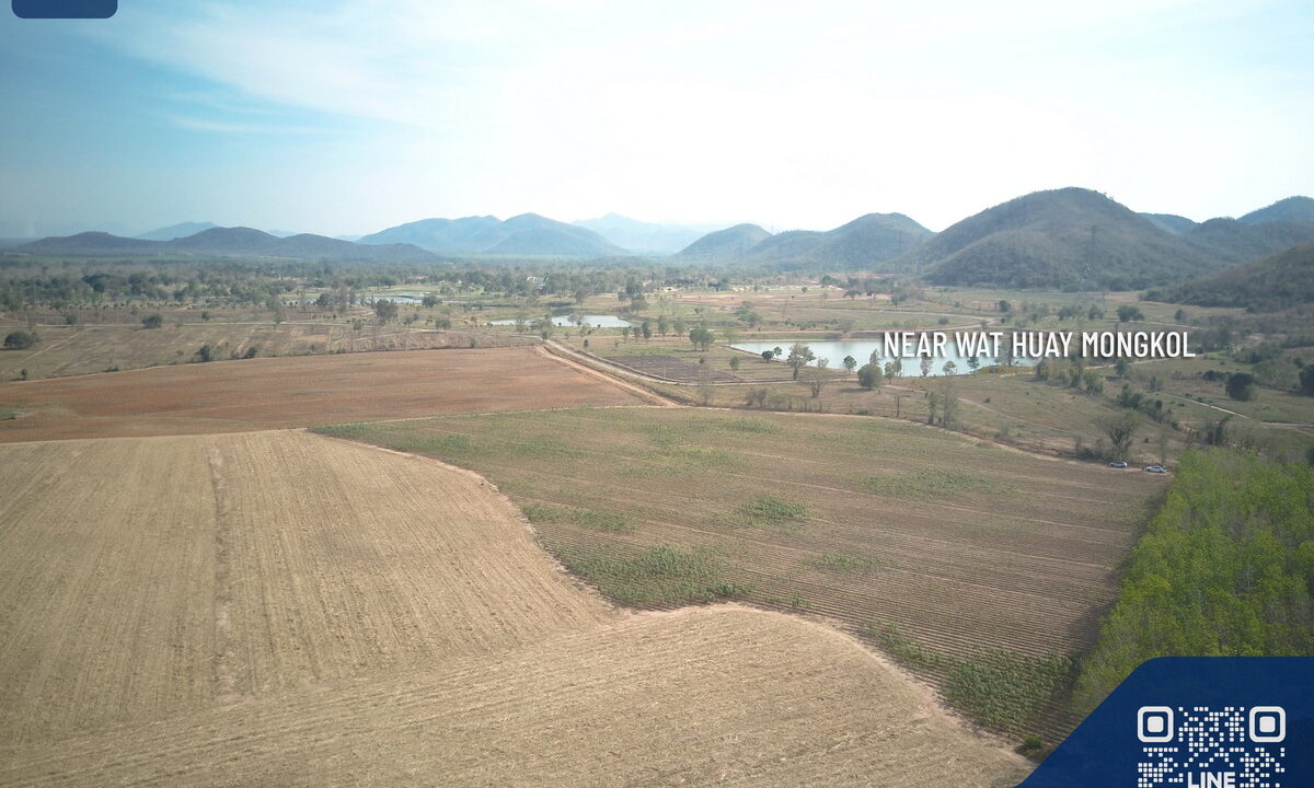DCIM100MEDIADJI_0022.JPG