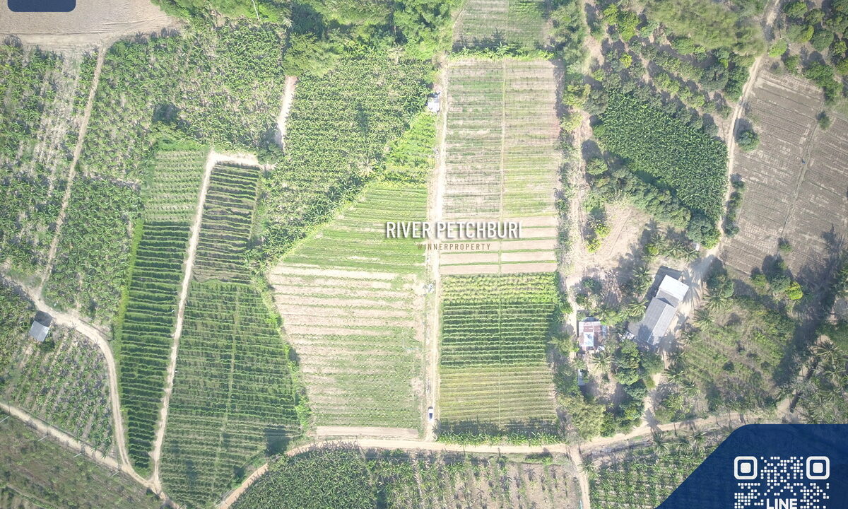 DCIM100MEDIADJI_0096.JPG