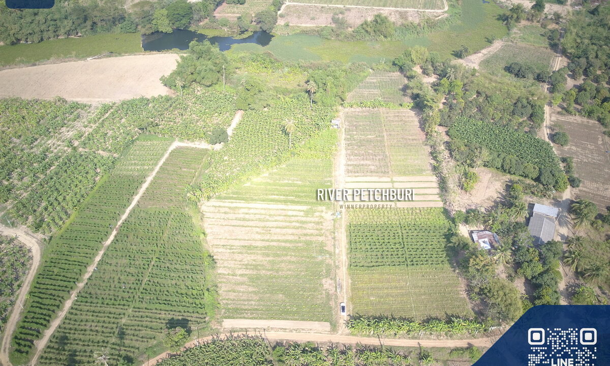 DCIM100MEDIADJI_0074.JPG
