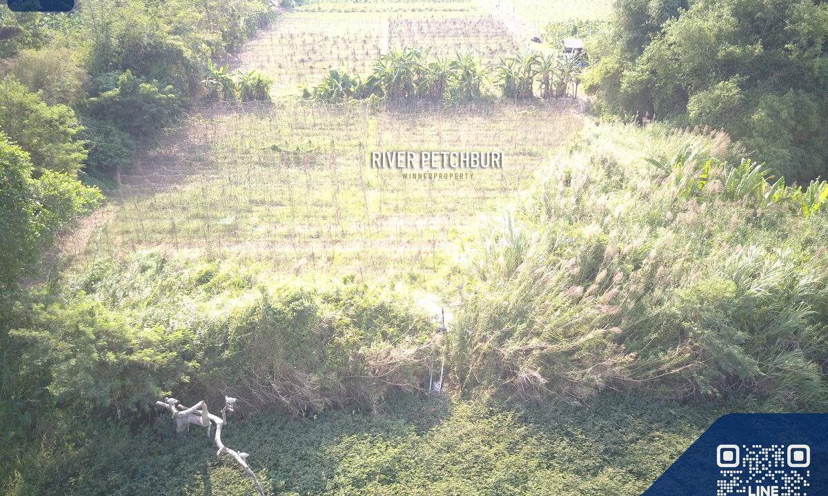 DCIM100MEDIADJI_0090.JPG