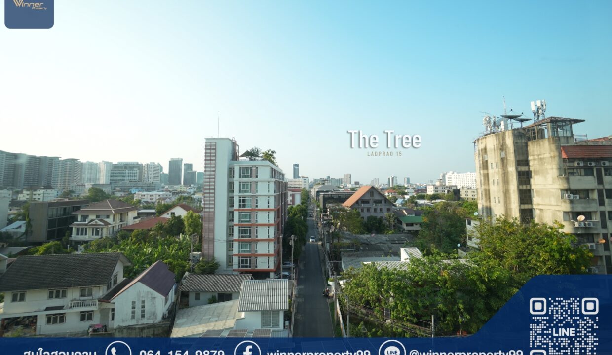 A66168c-TheTree-LP15 (11)