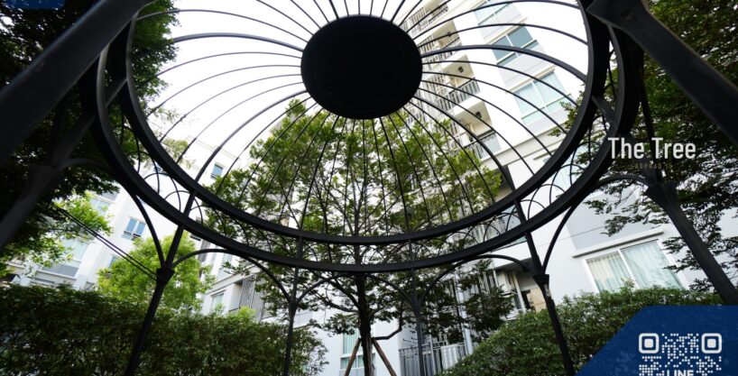 A66168C ขายคอนโด โครงการ The TREE ลาดพร้าว15(เดอะทรี ลาดพร้าว15) MRT ลาดพร้าว ชั้น 7/8