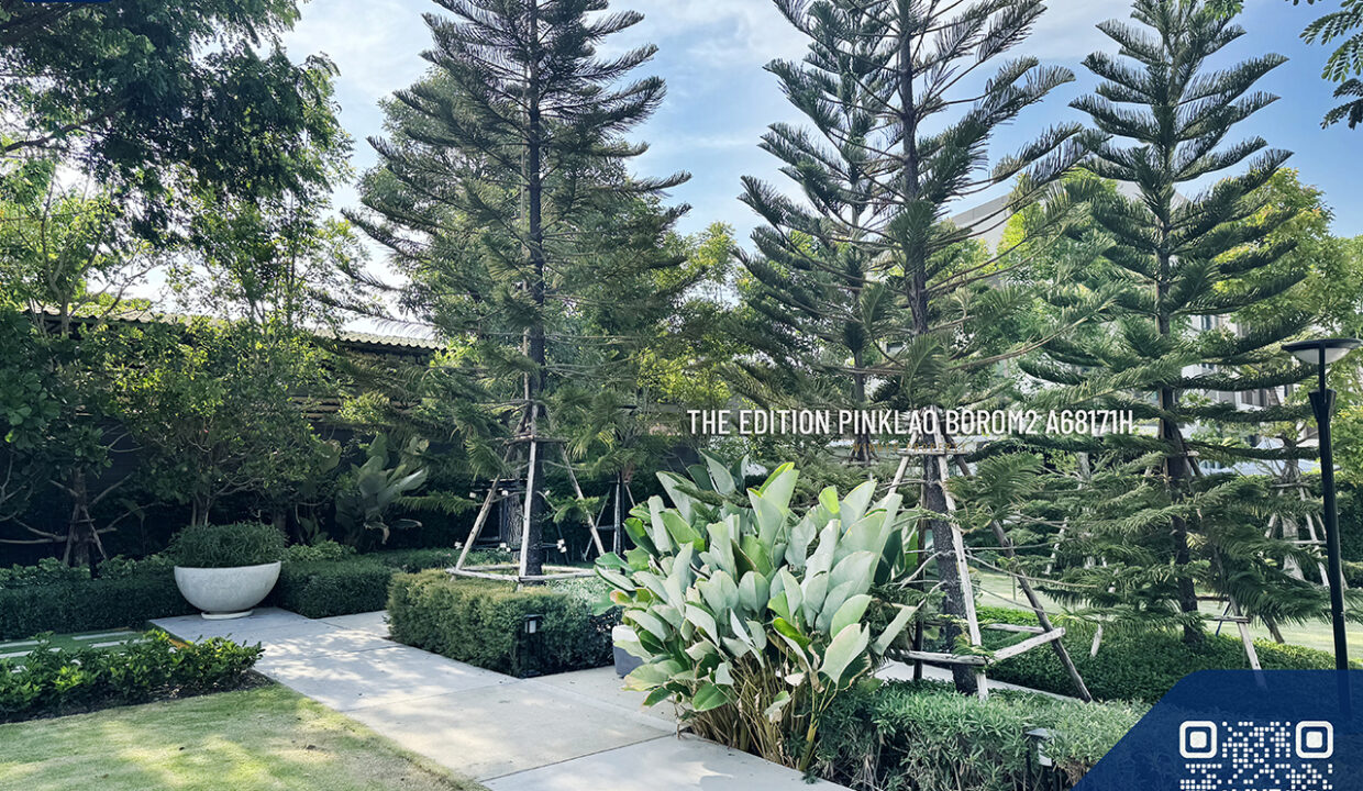 the-edition-pinkloa-barom2-3