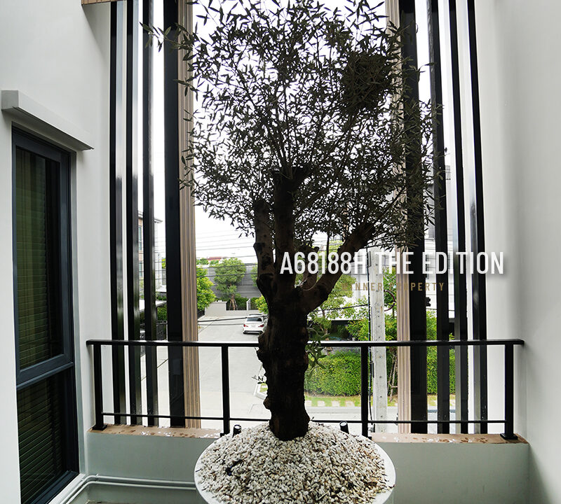 A68188h-the-edition-pinkloa-barom2-2fl-37_2wah-220sqm-68